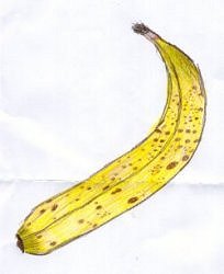 Bananas Are A Rich Source Of Potassium