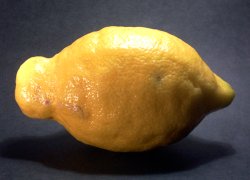 Lemons are a rich source of lemon juice.