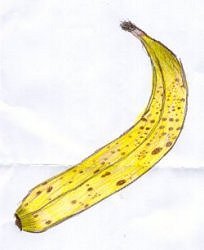 Bananas Are A Rich Source Of Potassium
